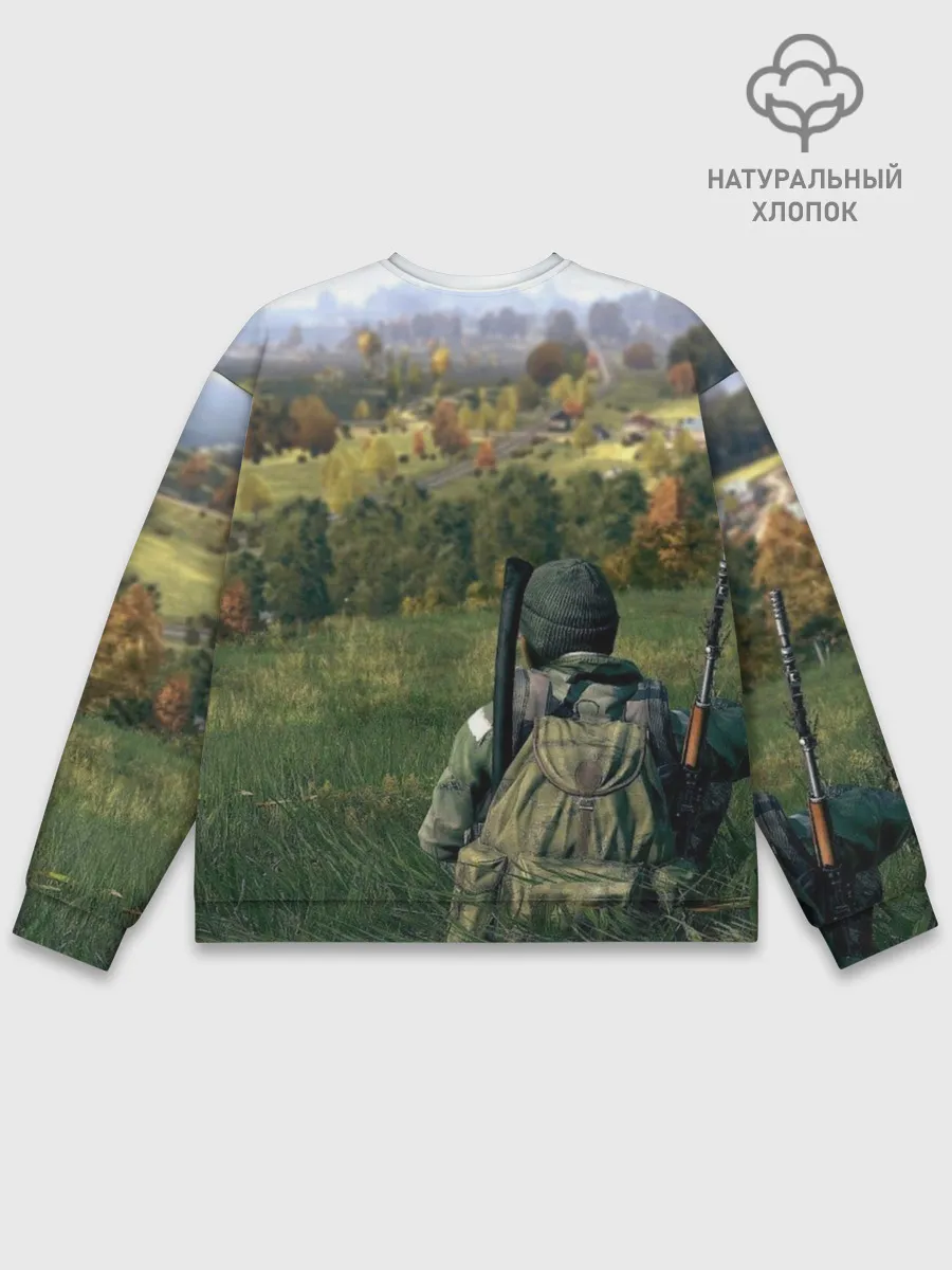 Мужской свитшот базовый / DayZ