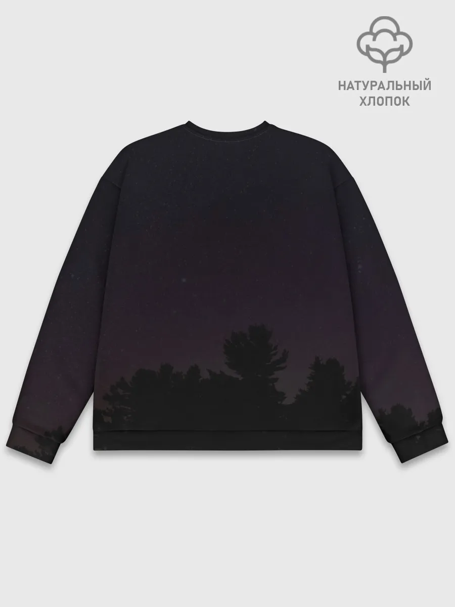 Мужской свитшот базовый / Гонщик нелегальный | дрифт