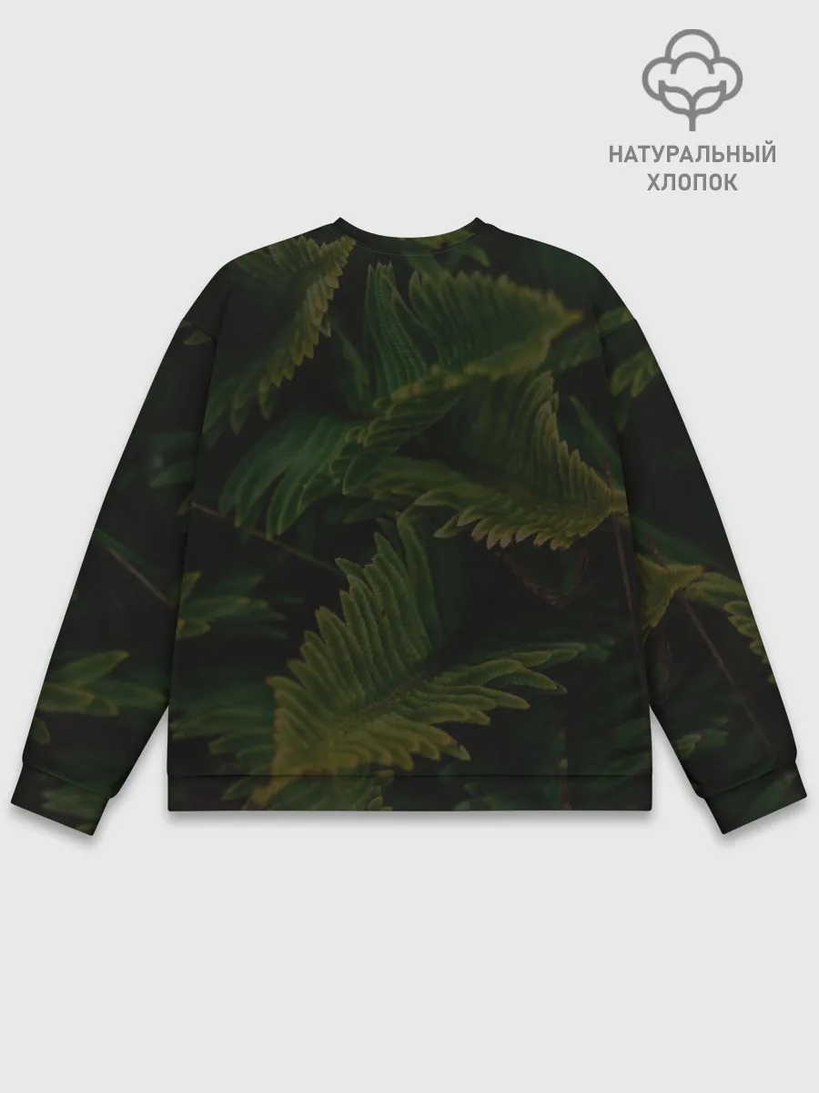 Мужской свитшот базовый / Fjall Raven | Дизайнерская