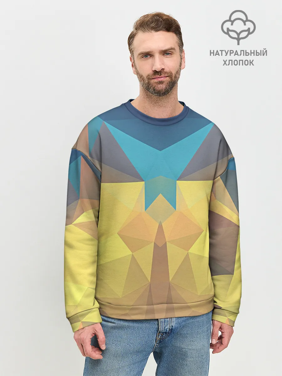Мужской свитшот базовый / Абстрактная Геометрия