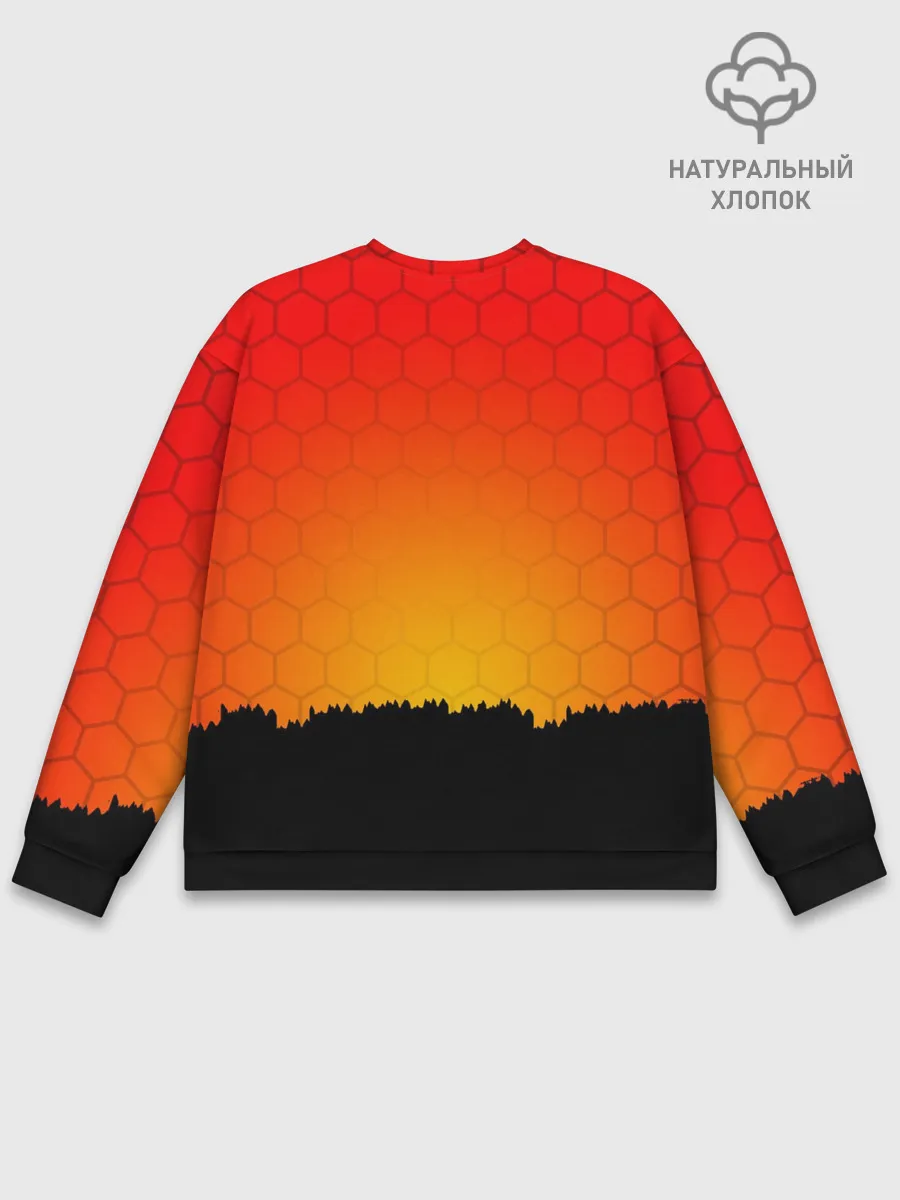 Мужской свитшот базовый / DAYZ