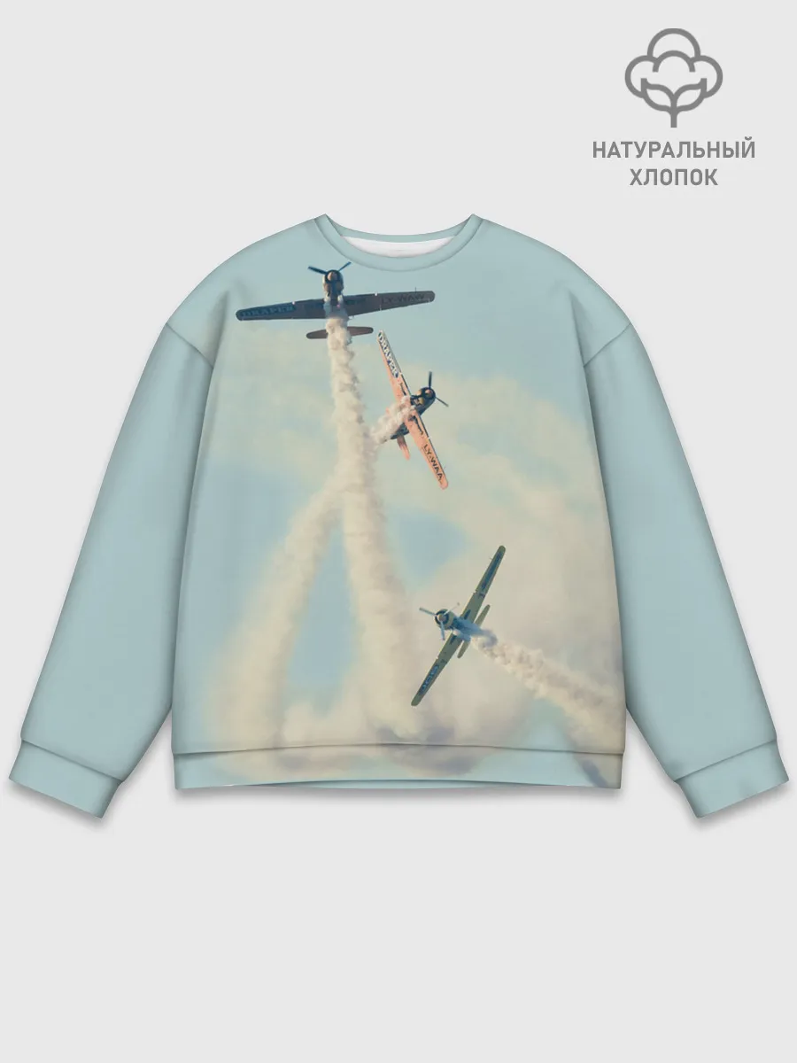 Мужской свитшот базовый / Planes