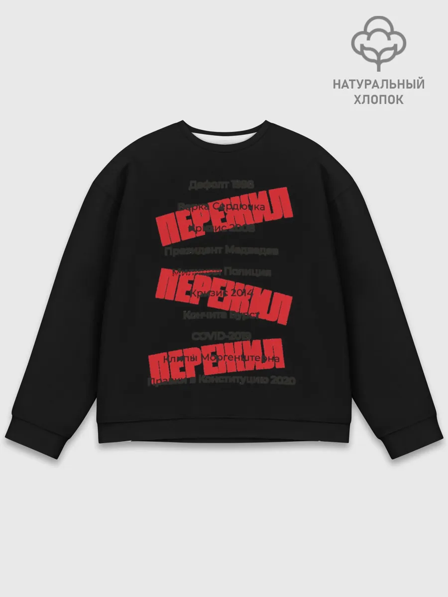 Мужской свитшот базовый / Пережил все кризисы