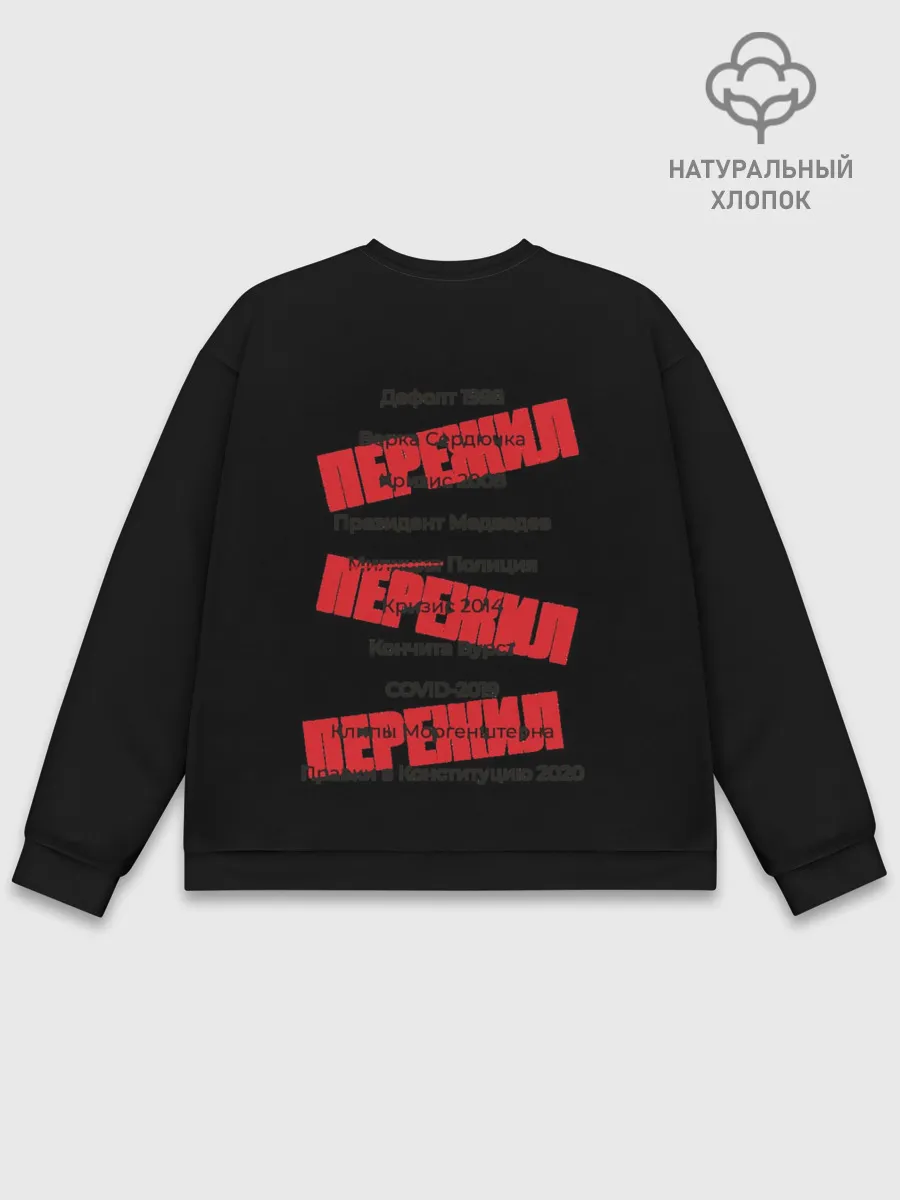 Мужской свитшот базовый / Пережил все кризисы