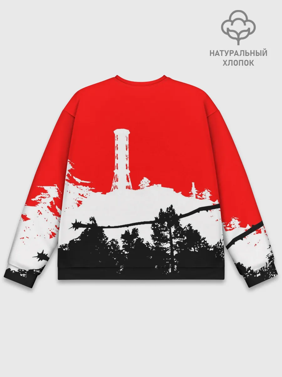 Мужской свитшот базовый / STALKER 2