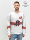 Мужской свитшот базовый / Дота