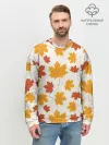 Мужской свитшот базовый / Осень / Autumn