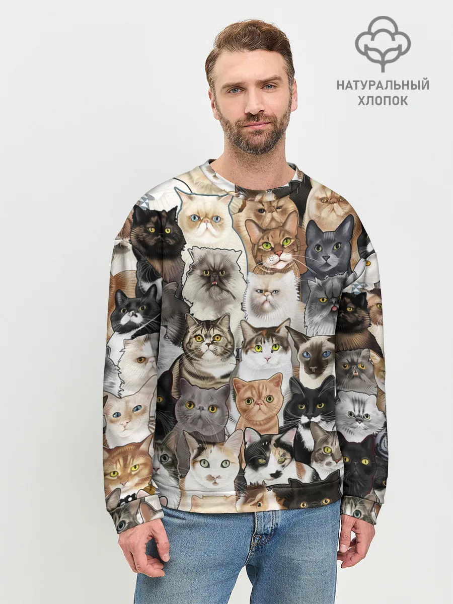 Мужской свитшот базовый / Котики смешные