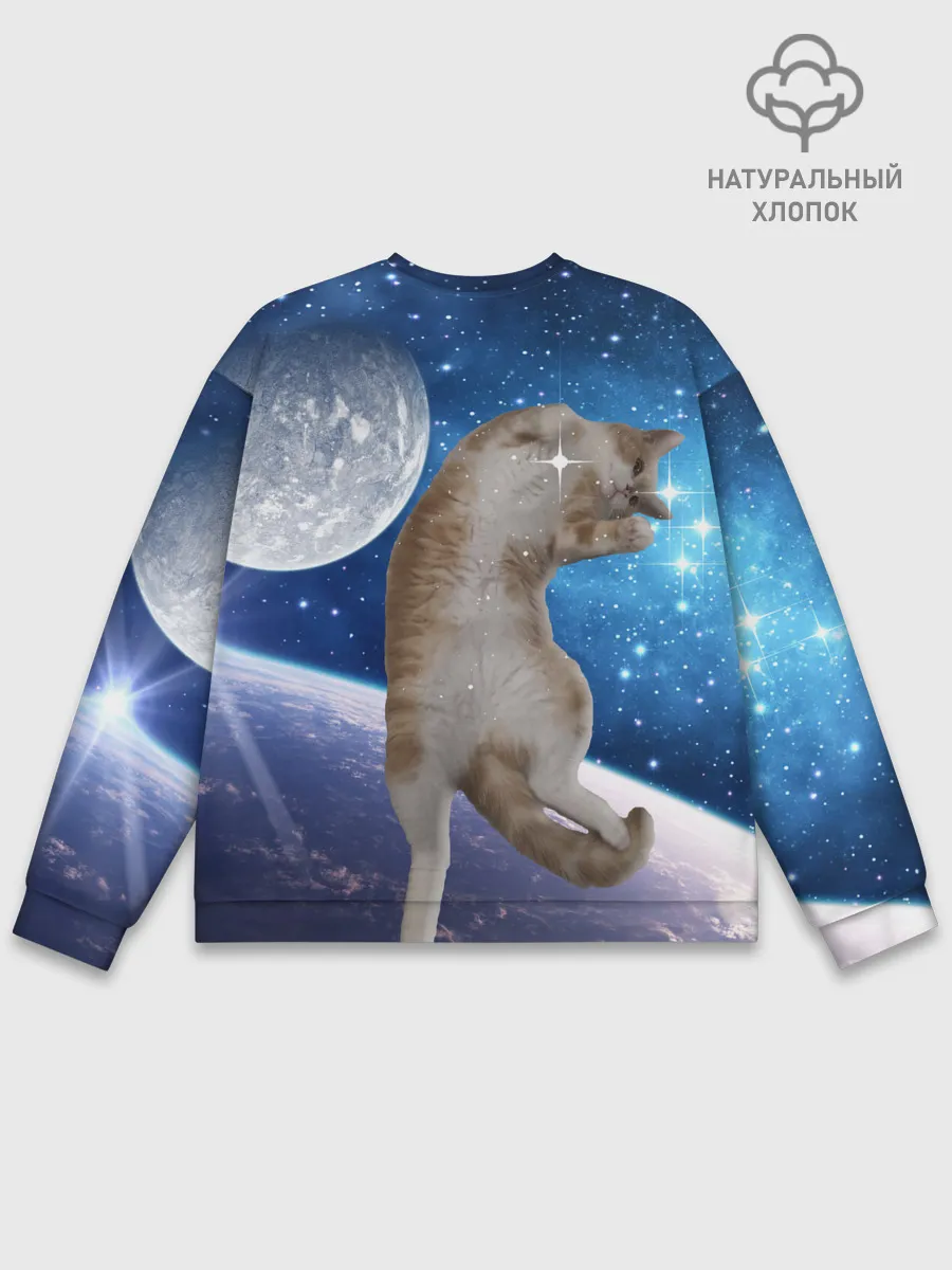 Мужской свитшот базовый / Кисулькин в космосе