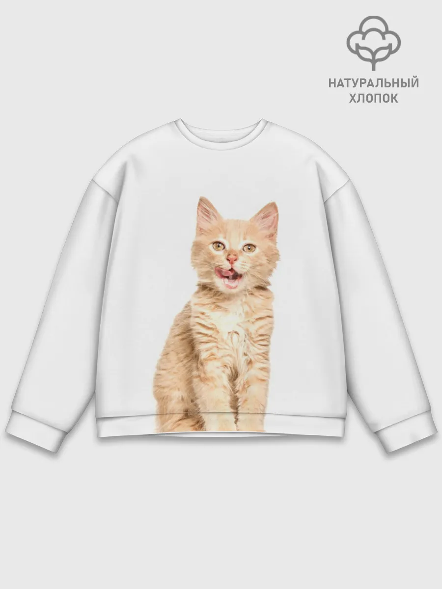 Мужской свитшот базовый / Кошечка