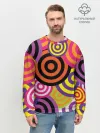 Мужской свитшот базовый / Аннотация разноцветных кругов