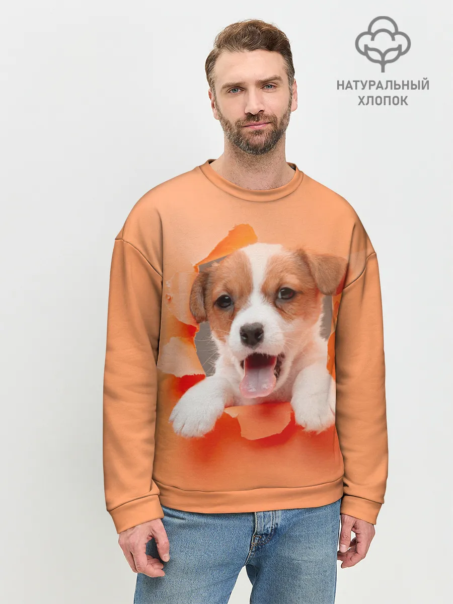 Мужской свитшот базовый / Собака