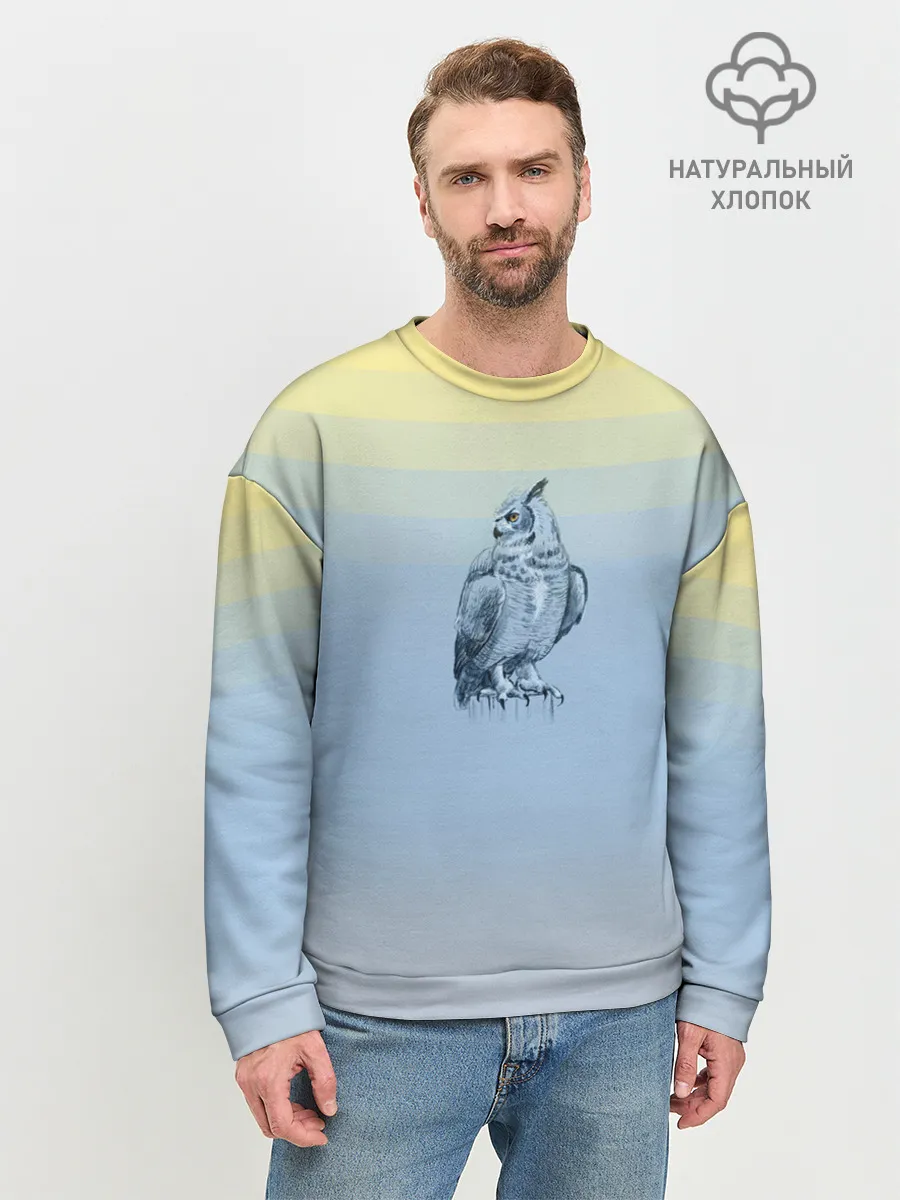 Мужской свитшот базовый / филин