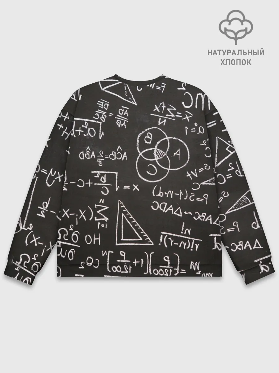Мужской свитшот базовый / Математические уравнения