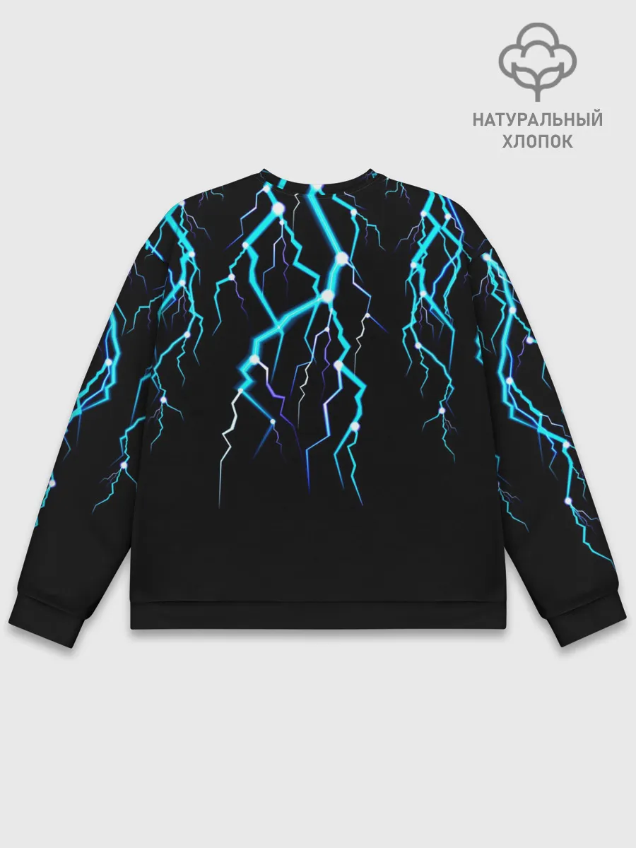 Мужской свитшот базовый / МОЛНИИ ДЕВУШКА ЦВЕТЫ