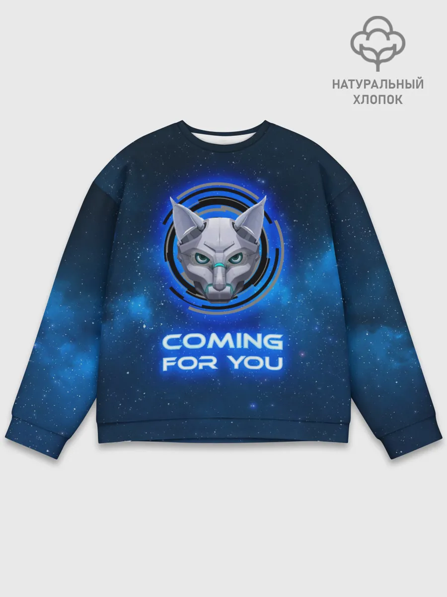 Мужской свитшот базовый / Иду за тобой