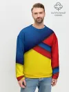 Мужской свитшот базовый / Яркие краски
