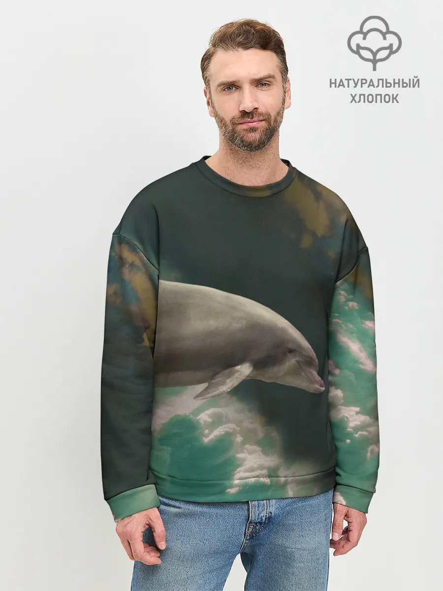 Мужской свитшот базовый / Дельфин в облаках