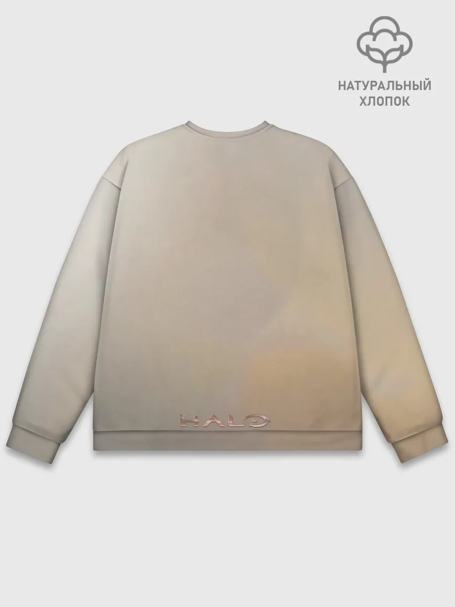 Мужской свитшот базовый / Spartan in hell | Halo