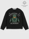 Мужской свитшот базовый / Spartan - 2 Academy