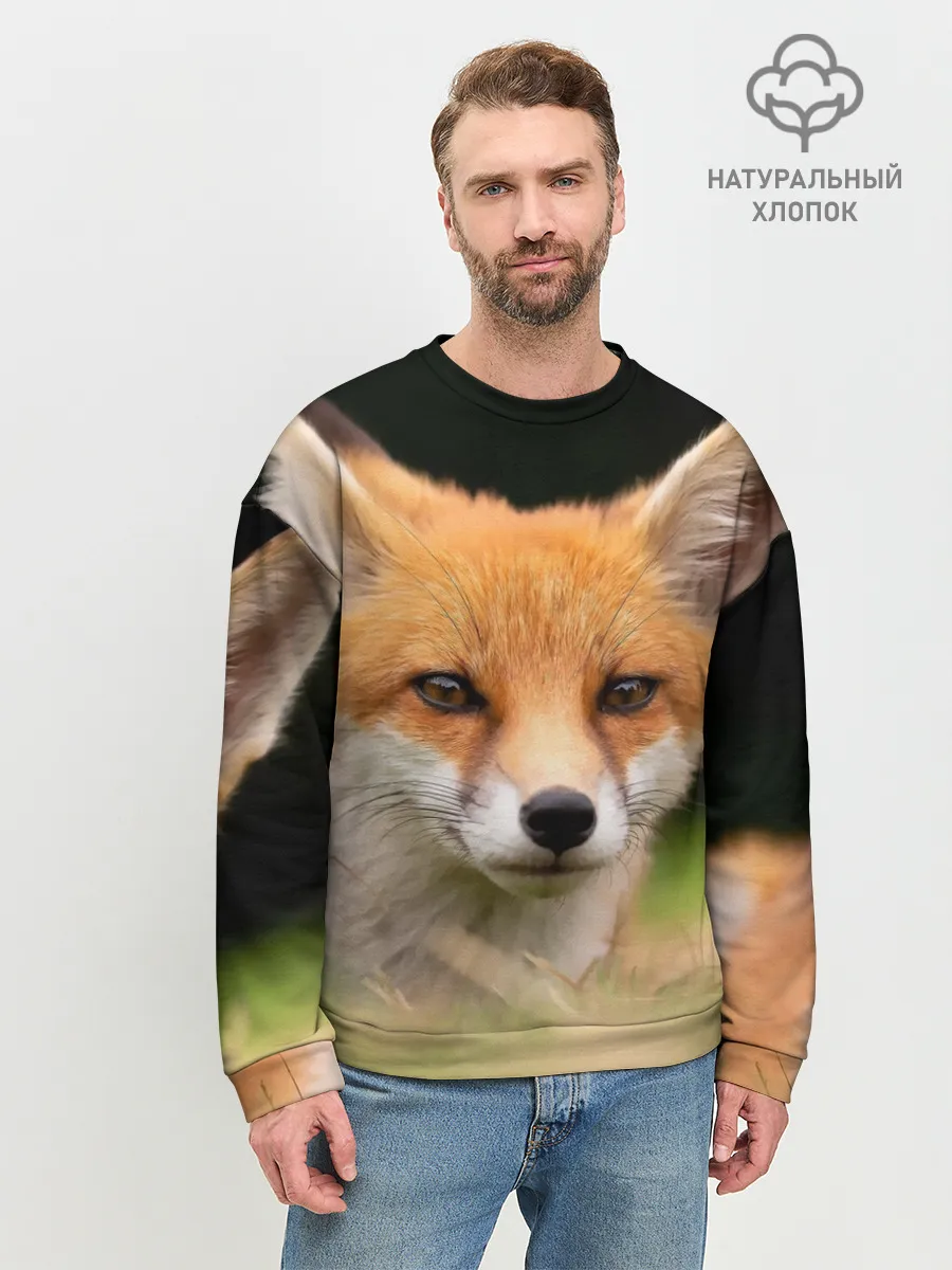Мужской свитшот базовый / Мордочка лисицы