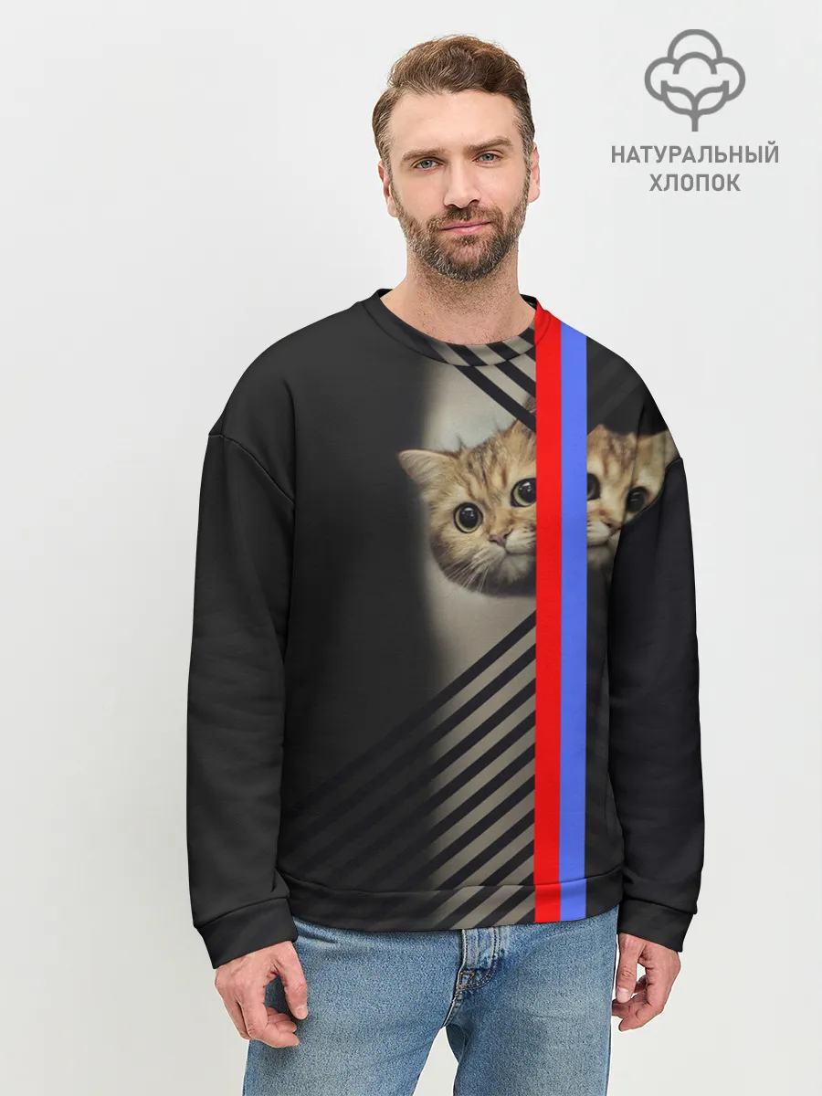 Мужской свитшот базовый / Кот