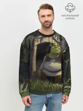 Мужской свитшот базовый / Somebody Once Told Me