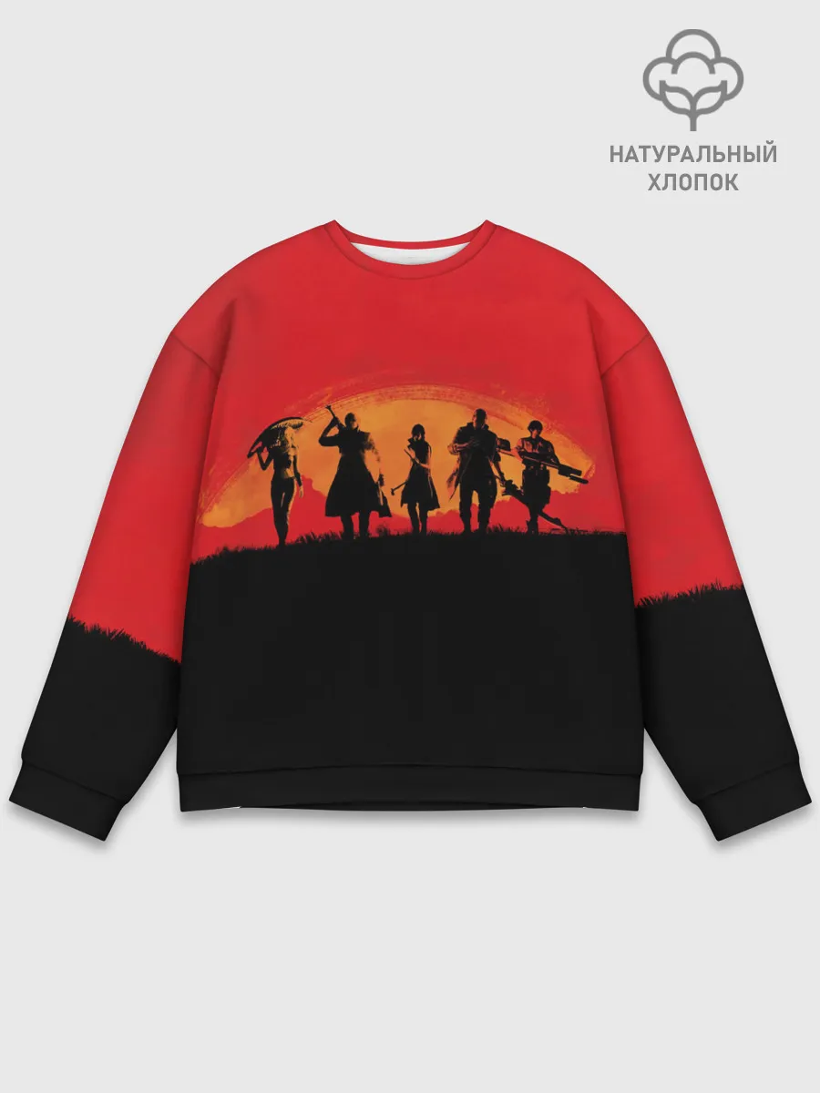 Мужской свитшот базовый / DMC x RDR