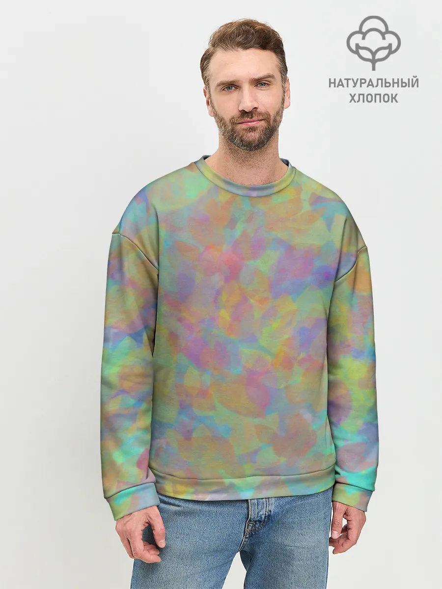 Мужской свитшот базовый / Цветные лепестки