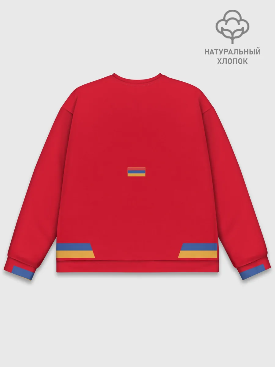 Мужской свитшот базовый / ФОРМА СБОРНОЙ АРМЕНИИ