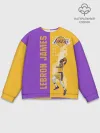 Мужской свитшот базовый / Леброн NBA