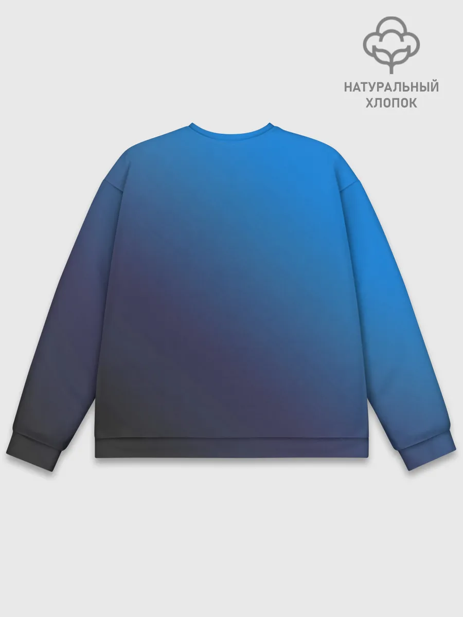 Мужской свитшот базовый / Сборная Франции