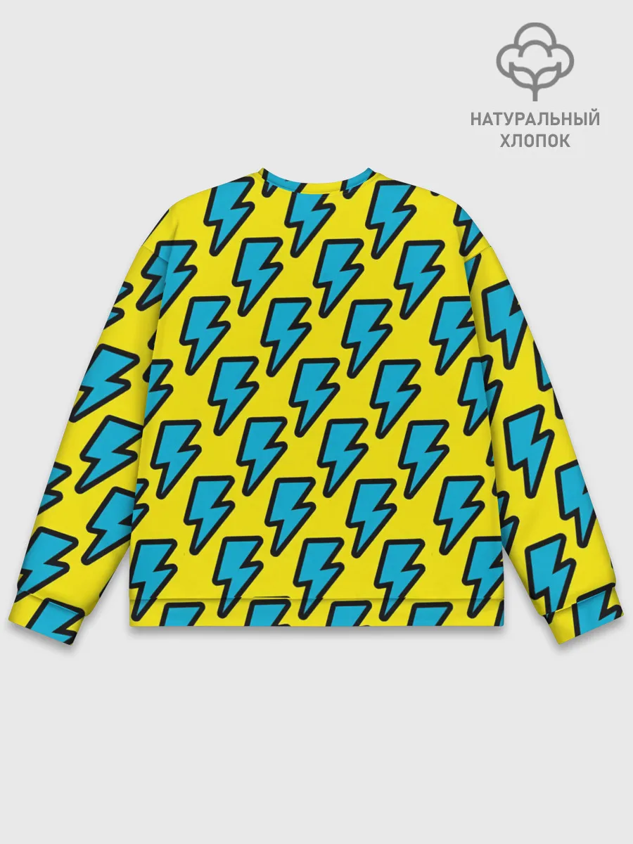 Мужской свитшот базовый / Молнии