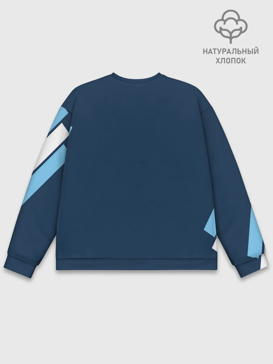 Мужской свитшот базовый / Сборная Аргентины