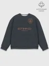 Мужской свитшот базовый / Manchester City | Cup Away 2021/22