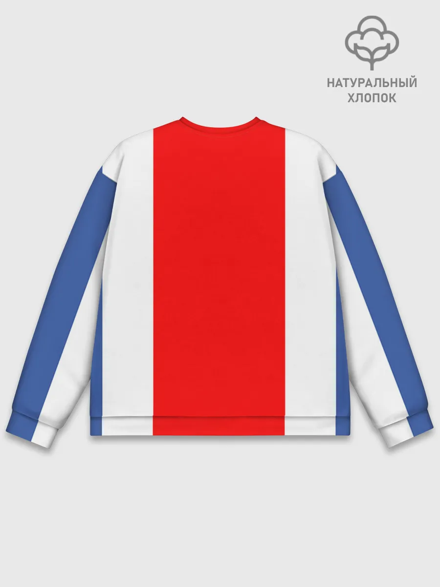 Мужской свитшот базовый / Сборная Исландии