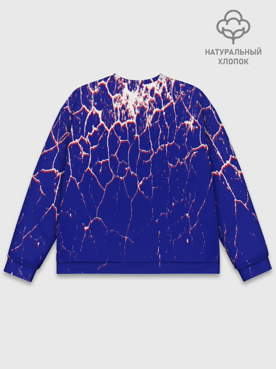 Мужской свитшот базовый / tottenham.