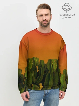 Мужской свитшот базовый / Кактусы на закате