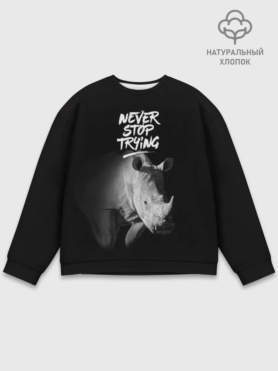 Мужской свитшот базовый / Nnever stop trying