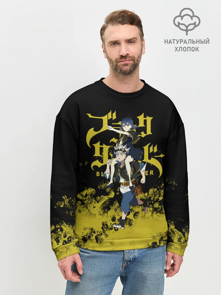 Мужской свитшот базовый / Аста и Секре Сваллотейл