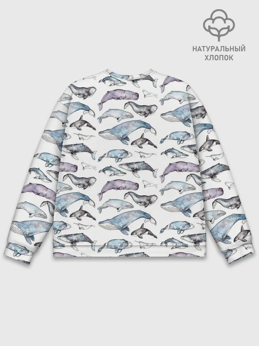 Мужской свитшот базовый / киты паттерн
