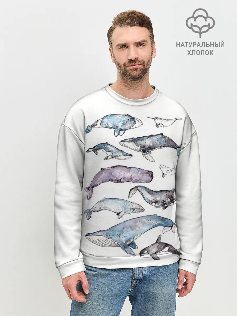 Мужской свитшот базовый / киты