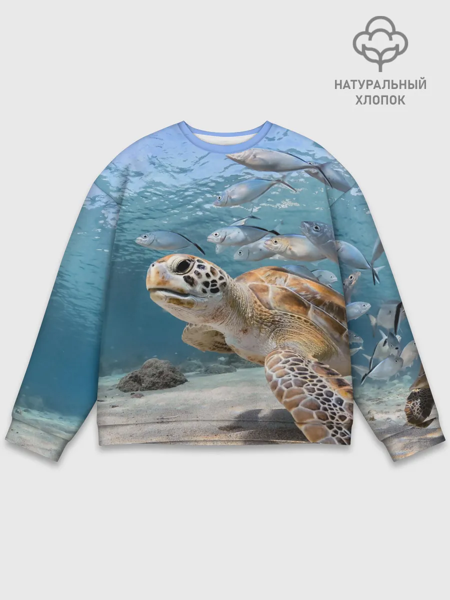 Мужской свитшот базовый / Морская черепаха