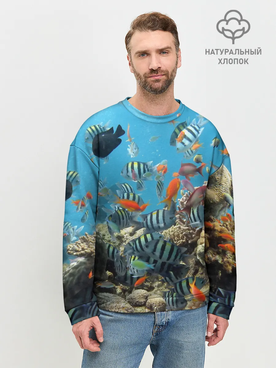 Мужской свитшот базовый / Коралловые рыбки