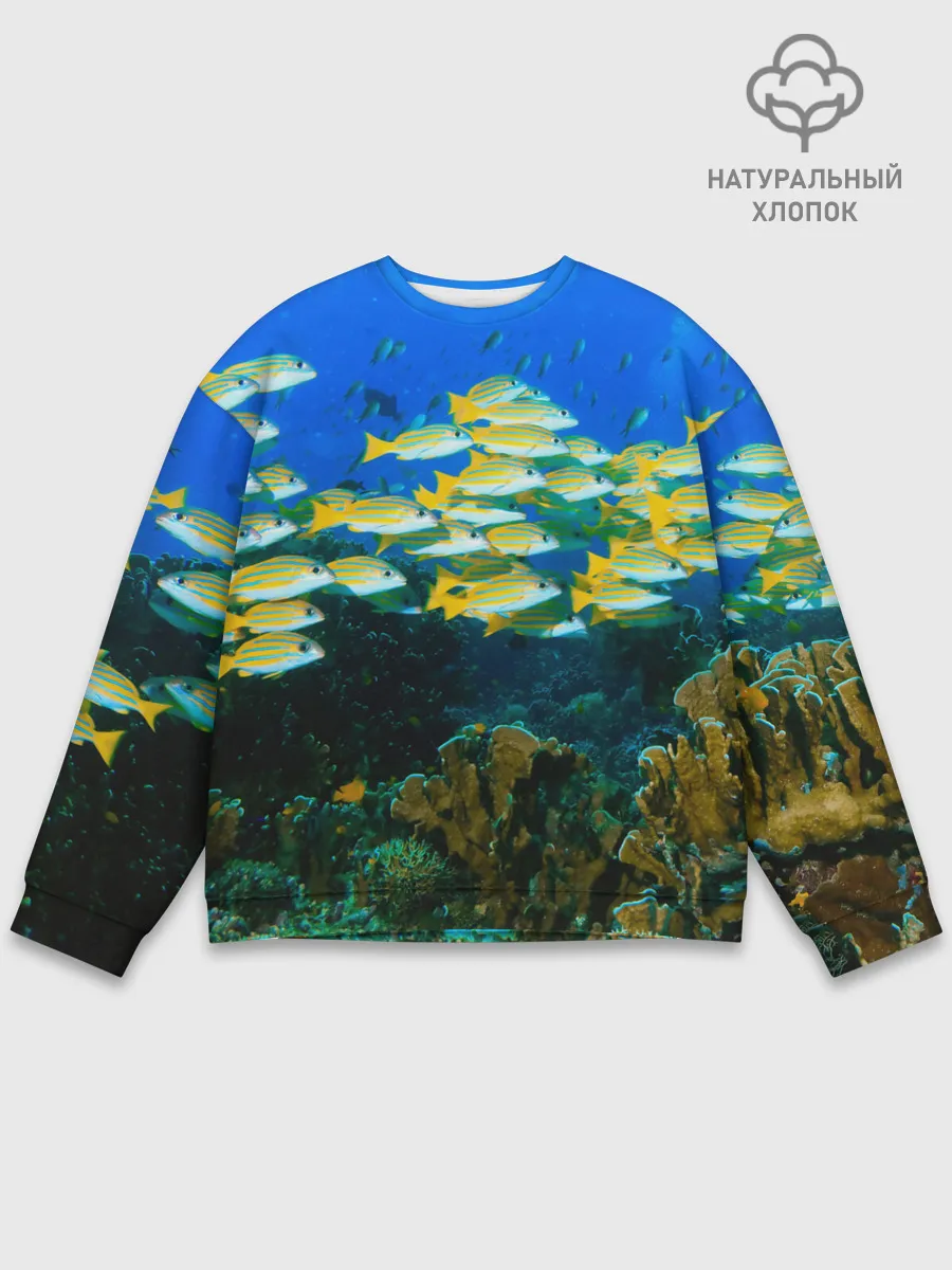 Мужской свитшот базовый / Коралловые рыбки
