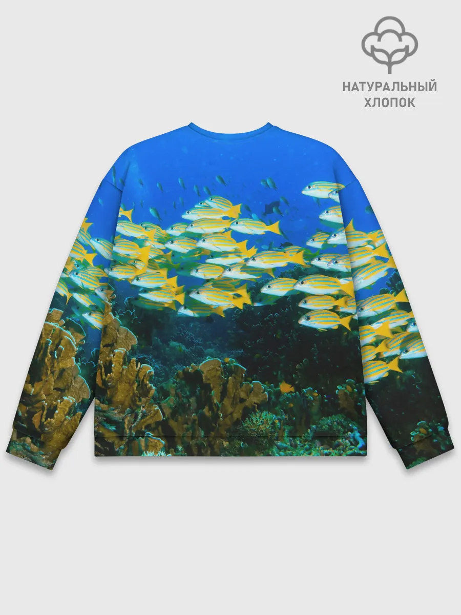 Мужской свитшот базовый / Коралловые рыбки