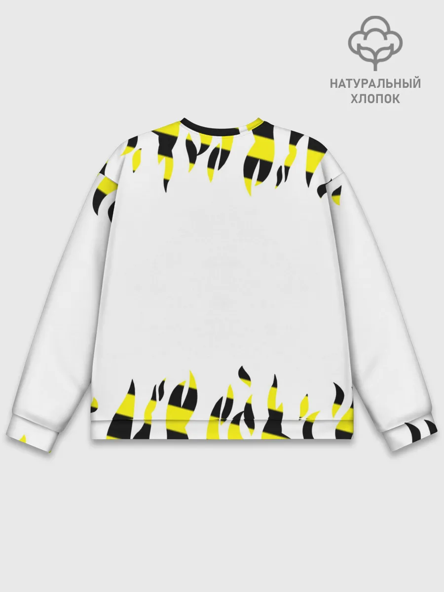 Мужской свитшот базовый / Роберто Карлос