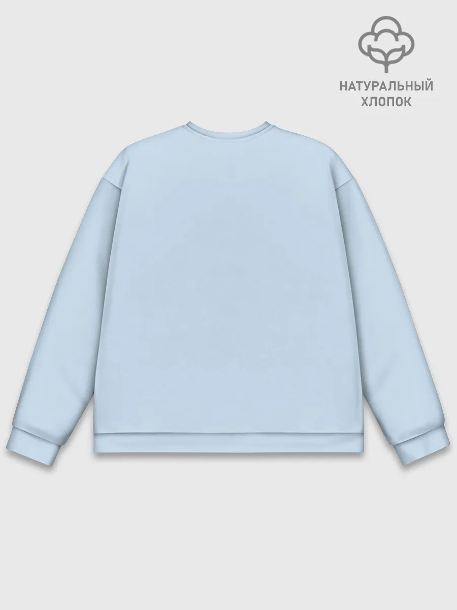 Мужской свитшот базовый / Appa