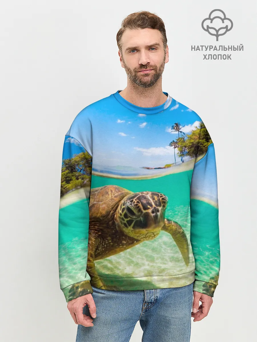 Мужской свитшот базовый / Морская черепашка