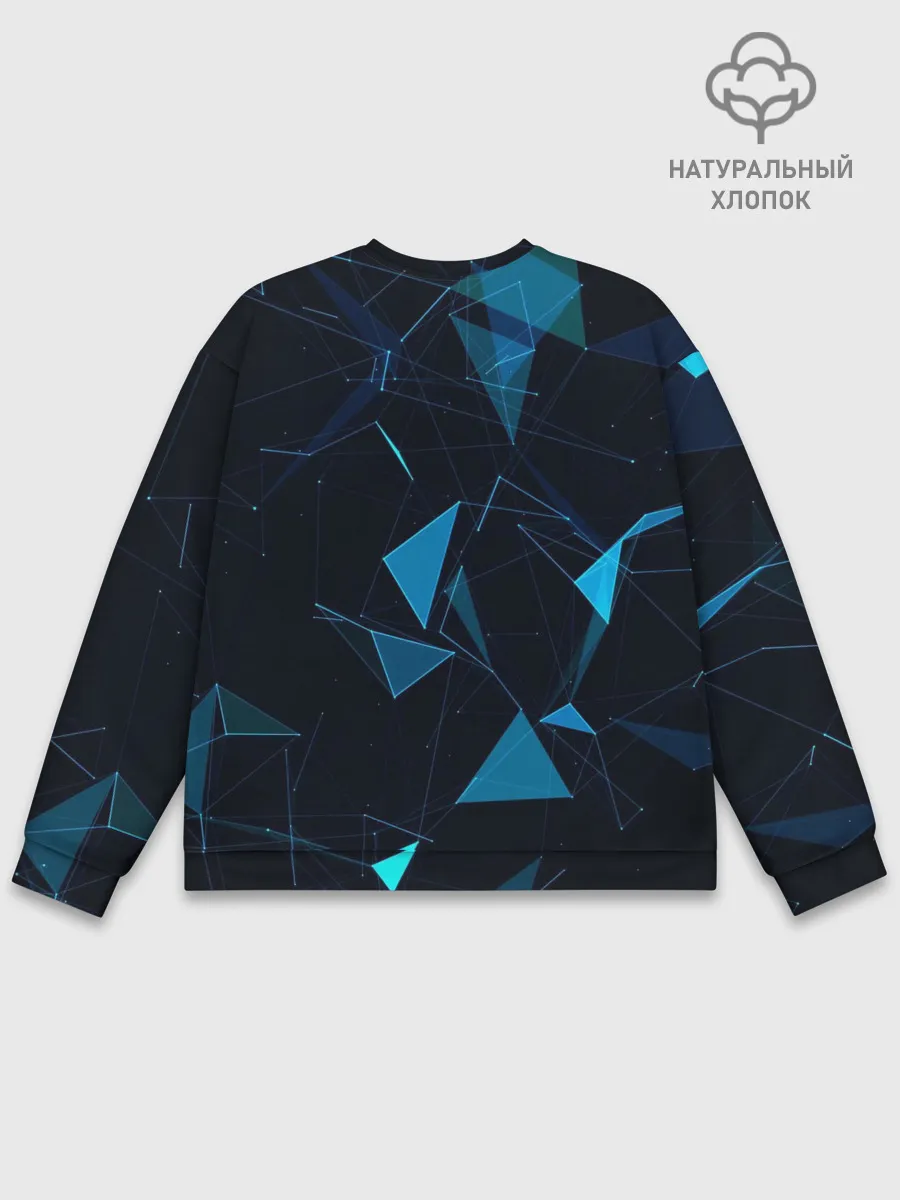 Мужской свитшот базовый / Цифровой треугольник